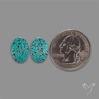 Hubei Turquoise Pair