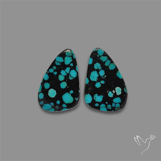 Hubei Turquoise Pair