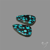 Hubei Turquoise Pair