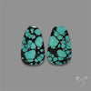 Hubei Turquoise Pair