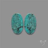 Hubei Turquoise Pair
