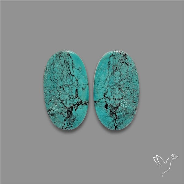 Hubei Turquoise Pair
