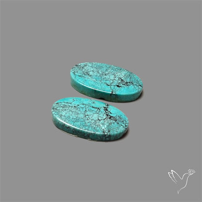 Hubei Turquoise Pair