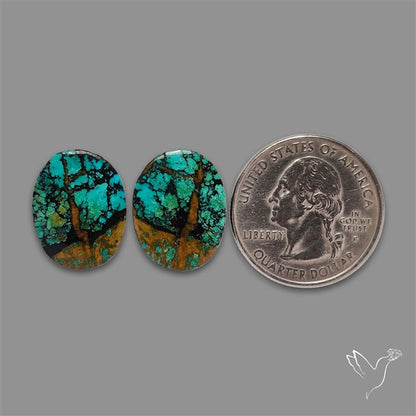 Hubei Turquoise Pair