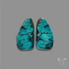 Hubei Turquoise Pair