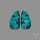 Hubei Turquoise Pair