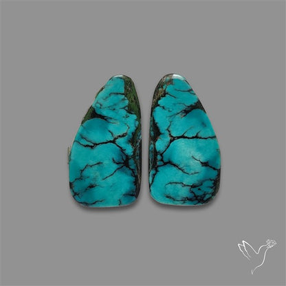 Hubei Turquoise Pair