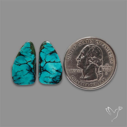 Hubei Turquoise Pair