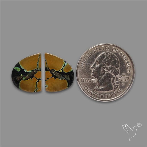 Hubei Turquoise Pair