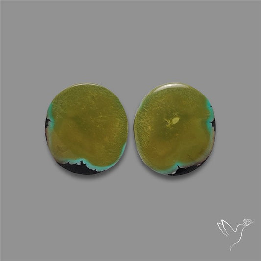Hubei Turquoise Pair