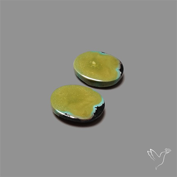 Hubei Turquoise Pair
