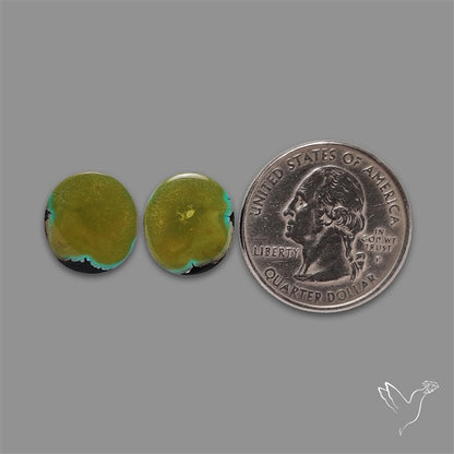Hubei Turquoise Pair