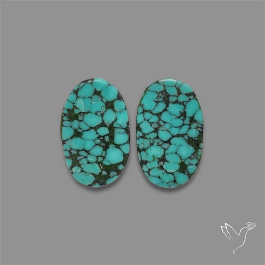 Hubei Turquoise Pair