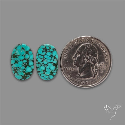 Hubei Turquoise Pair