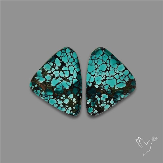 Hubei Turquoise Pair