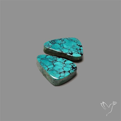 Hubei Turquoise Pair