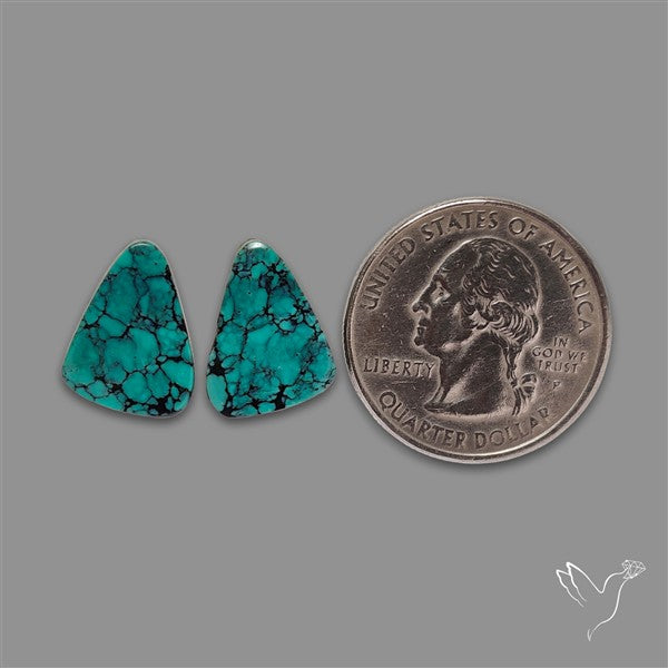Hubei Turquoise Pair