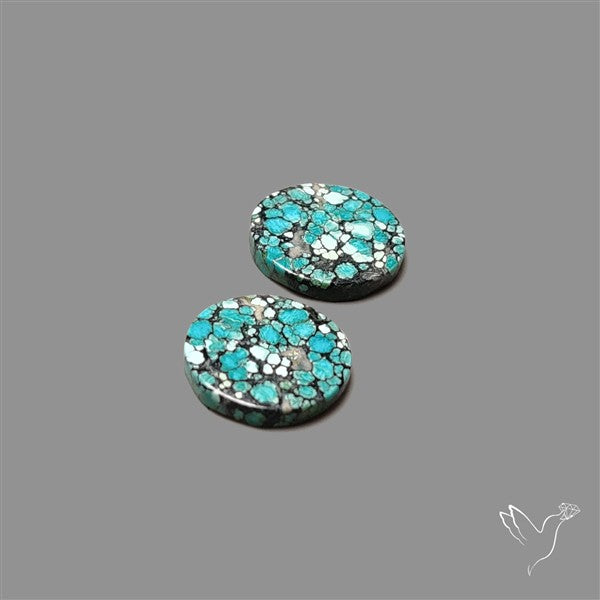 Hubei Turquoise Pair