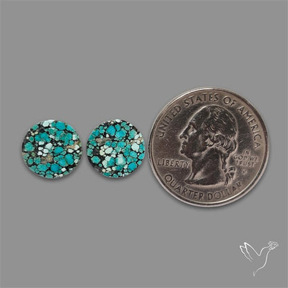 Hubei Turquoise Pair