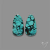 Hubei Turquoise Pair