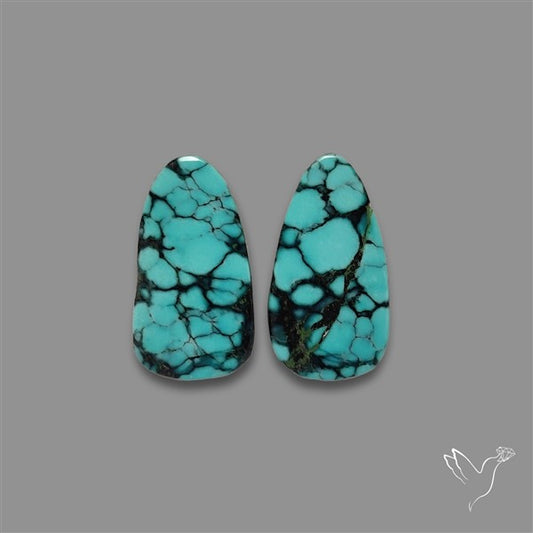 Hubei Turquoise Pair