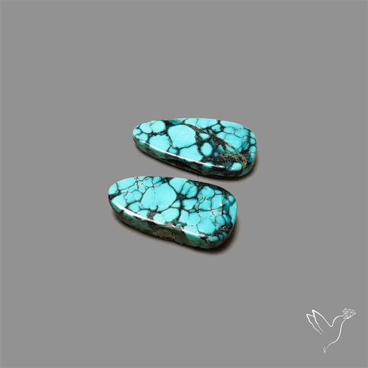 Hubei Turquoise Pair