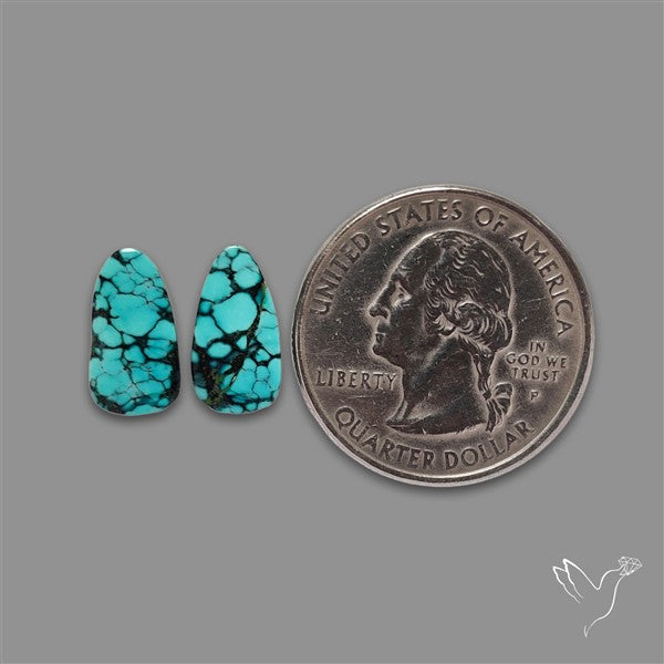 Hubei Turquoise Pair