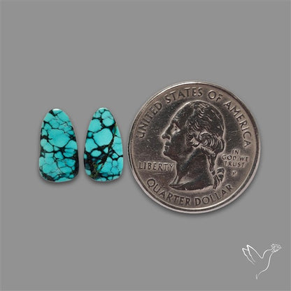 Hubei Turquoise Pair