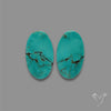 Hubei Turquoise Pair