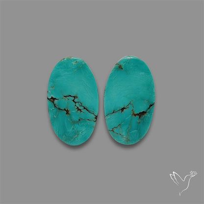 Hubei Turquoise Pair