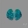 Hubei Turquoise Pair