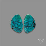 Hubei Turquoise Pair