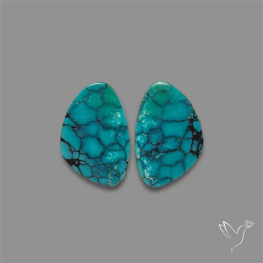 Hubei Turquoise Pair