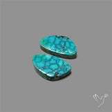 Hubei Turquoise Pair