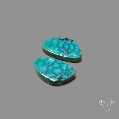 Hubei Turquoise Pair