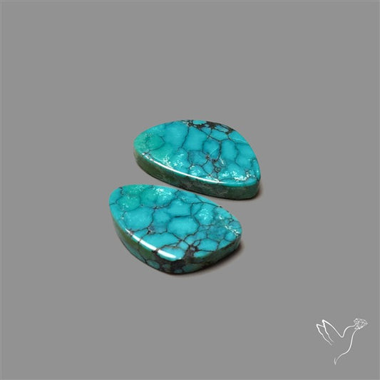 Hubei Turquoise Pair