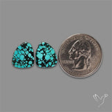 Hubei Turquoise Pair