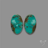 Hubei Turquoise Pair