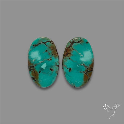 Hubei Turquoise Pair