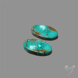 Hubei Turquoise Pair