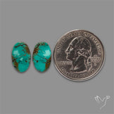 Hubei Turquoise Pair