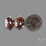 Wild Horse Magnesite Pair