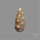 Fossil Coral Cabochon