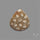 Fossil Coral Cabochon
