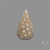 Fossil Coral Cabochon