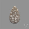 Fossil Coral Cabochon