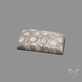 Fossil Coral Cabochon