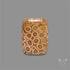 Fossil Coral Cabochon