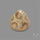 Fossil Coral Cabochon