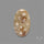 Fossil Coral Cabochon